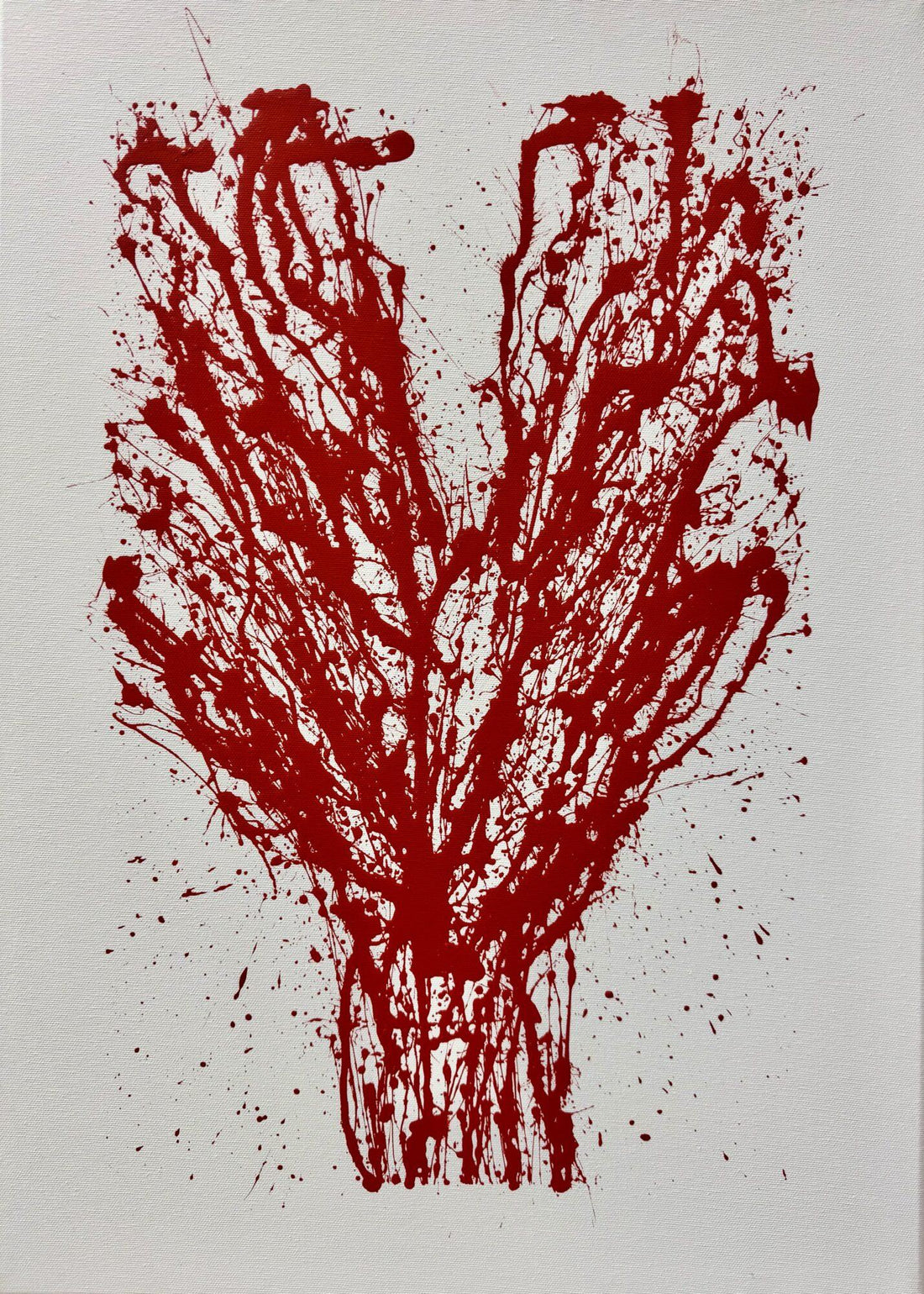 Corallo, rosso semaforo
